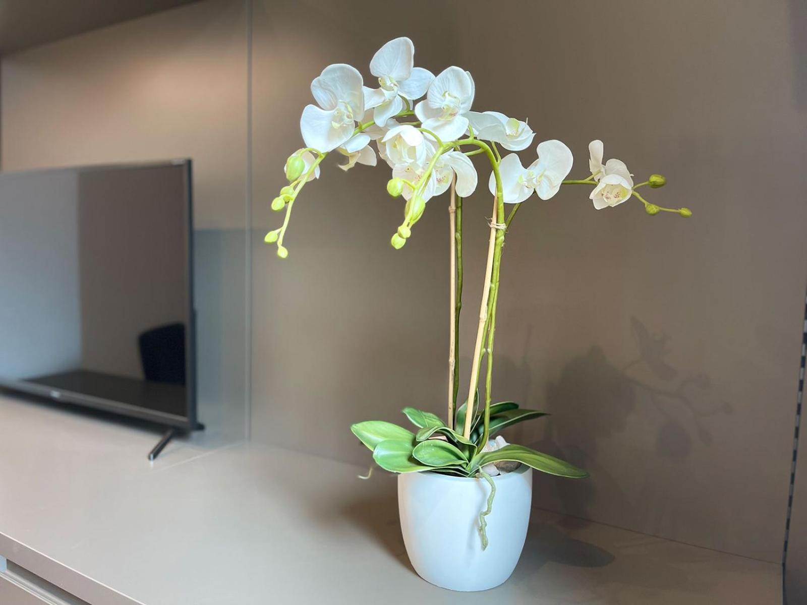 Clavis Luxury Apartments Chiavenna Buitenkant foto